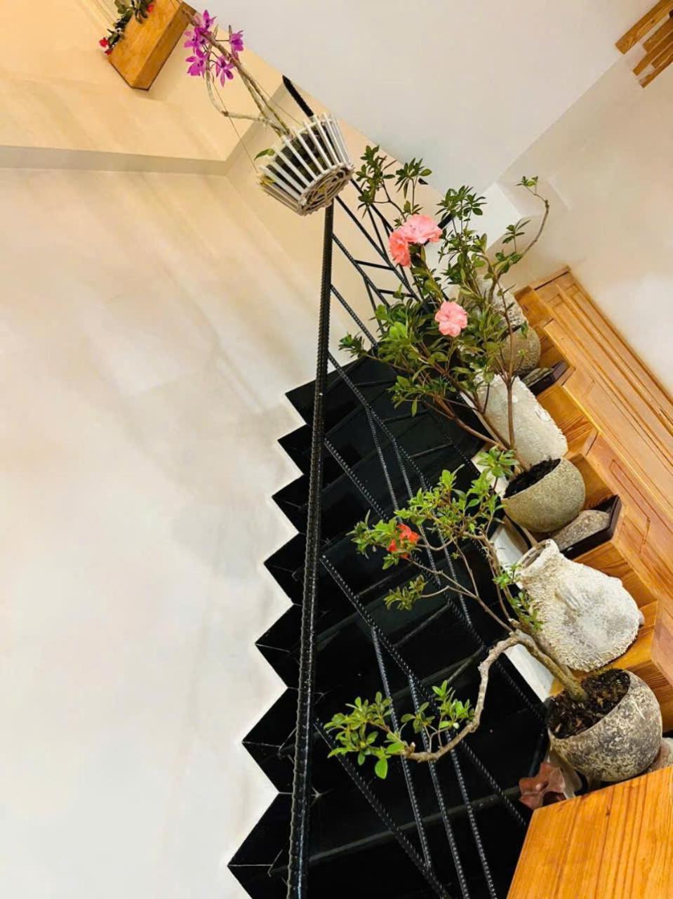 Villa Nho Xinh Khu Chi Lang Ngoại thất bức ảnh
