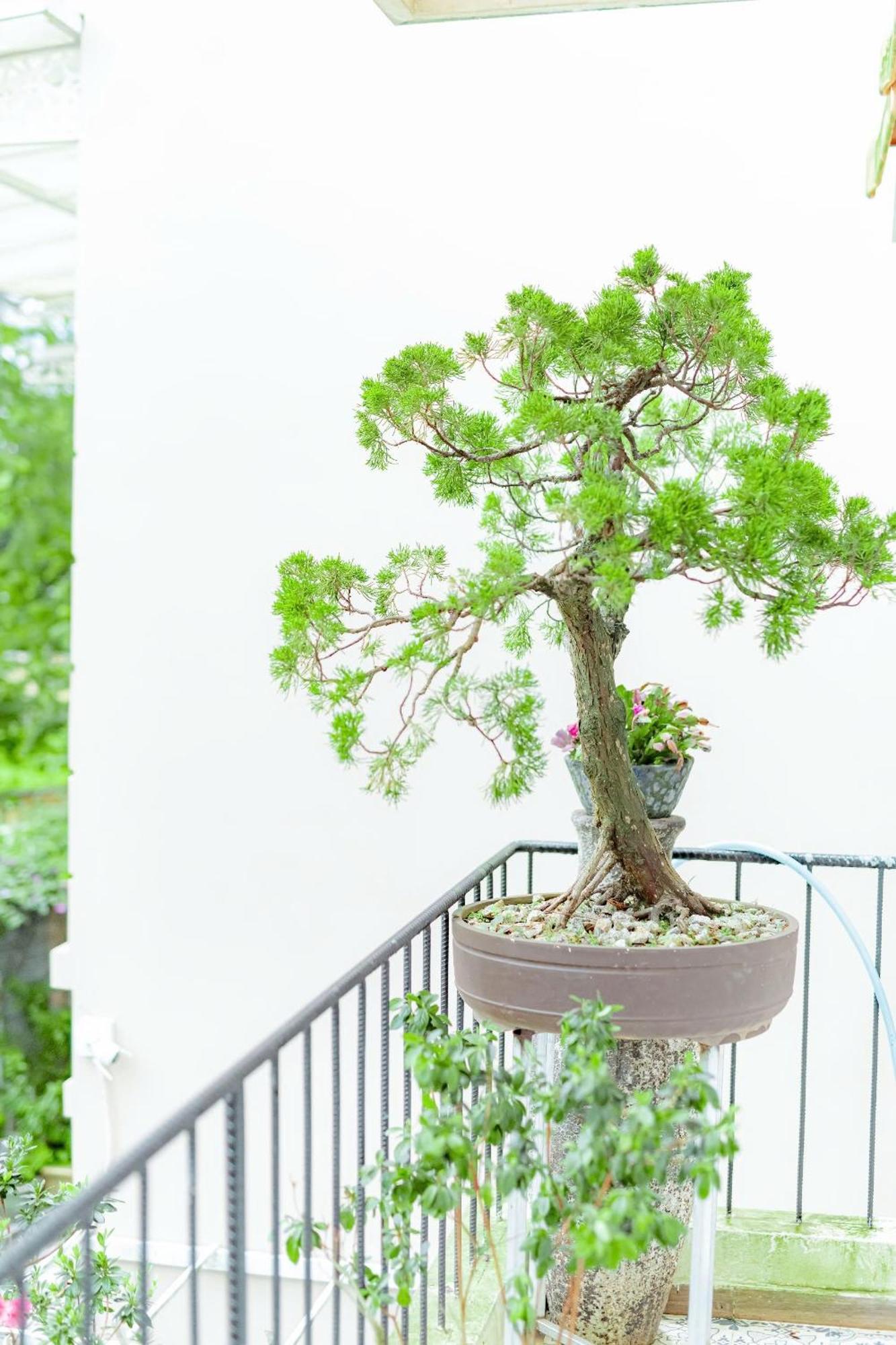 Villa Nho Xinh Khu Chi Lang Ngoại thất bức ảnh
