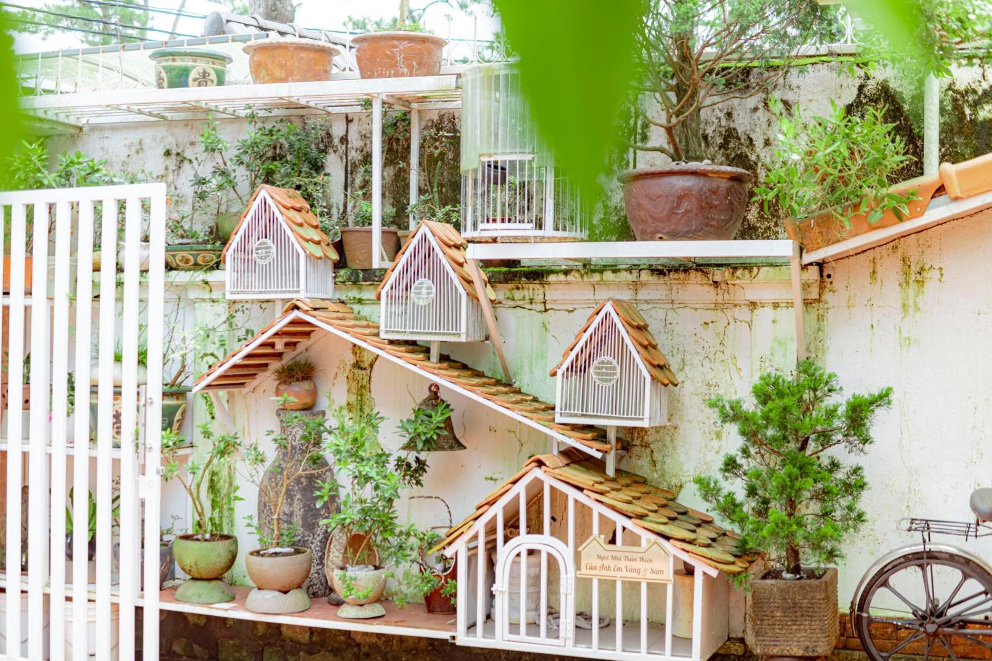 Villa Nho Xinh Khu Chi Lang Ngoại thất bức ảnh